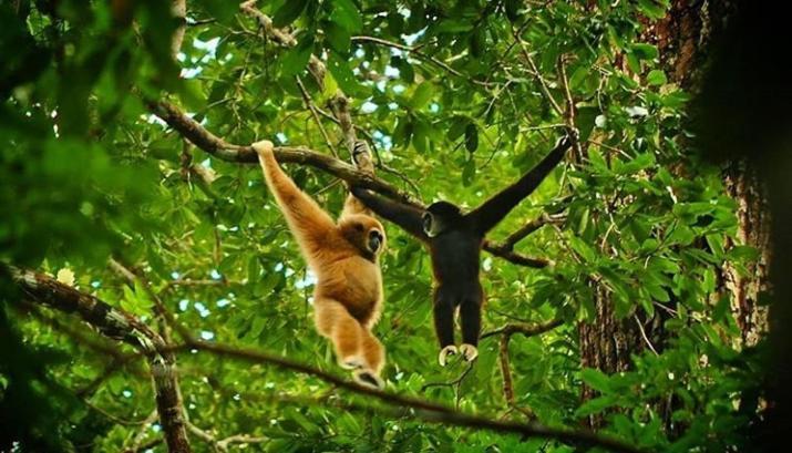 Bukit Lawang 호텔 외부 사진