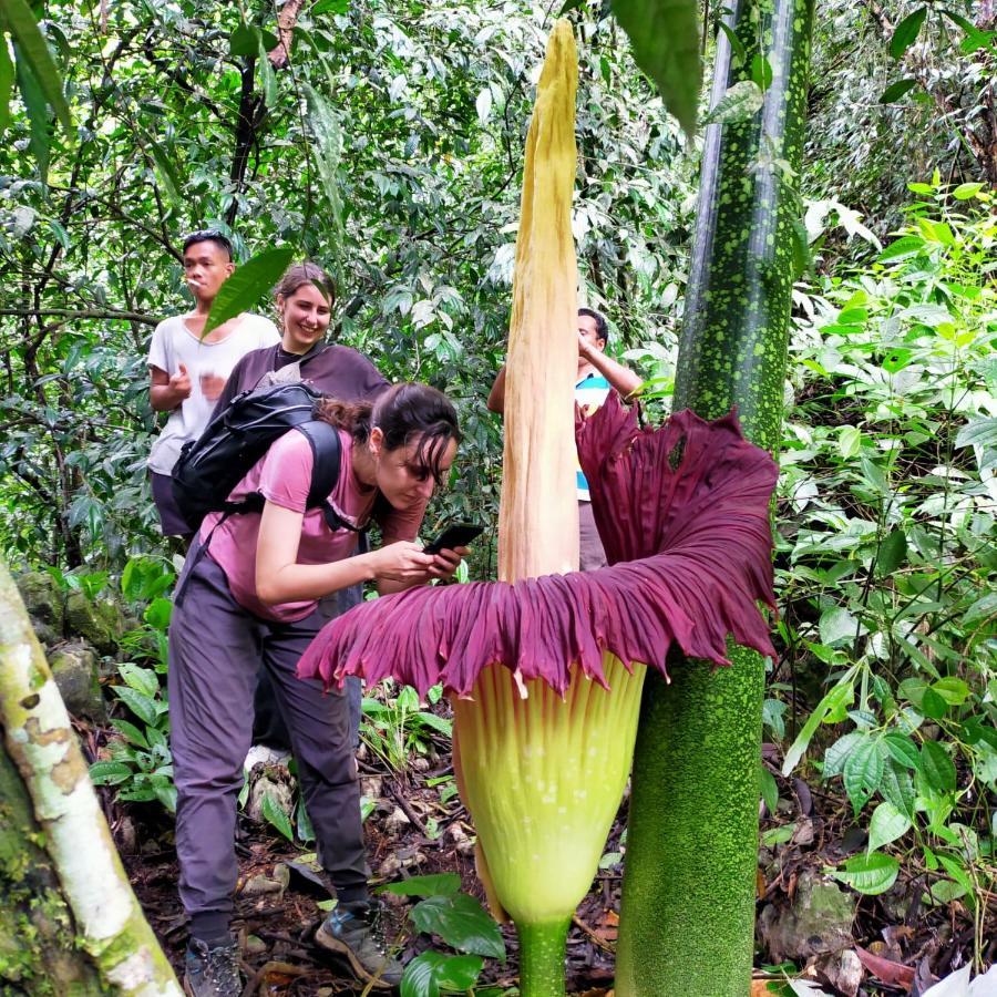Bukit Lawang 호텔 외부 사진