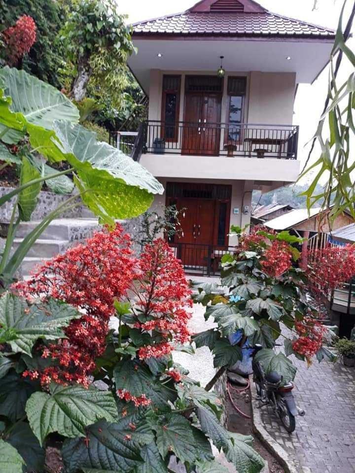 Bukit Lawang 호텔 외부 사진
